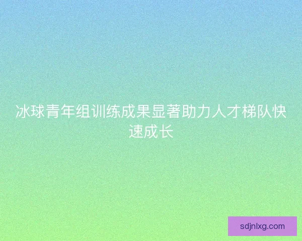 冰球青年组训练成果显著助力人才梯队快速成长 冰球青年组训练成果显著助力人才梯队快速成长