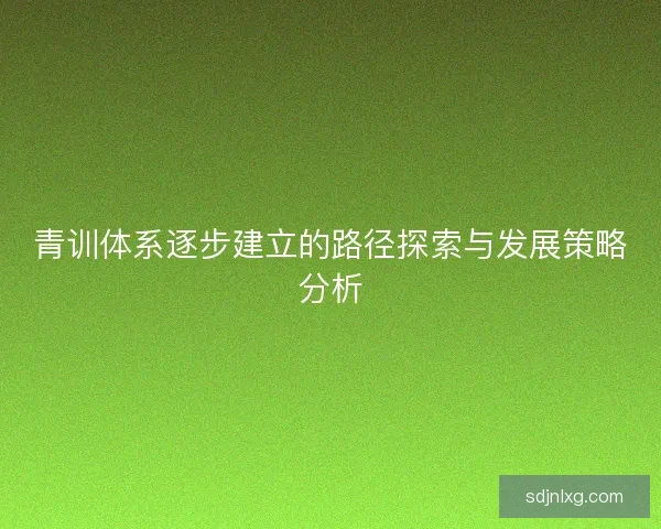 青训体系逐步建立的路径探索与发展策略分析