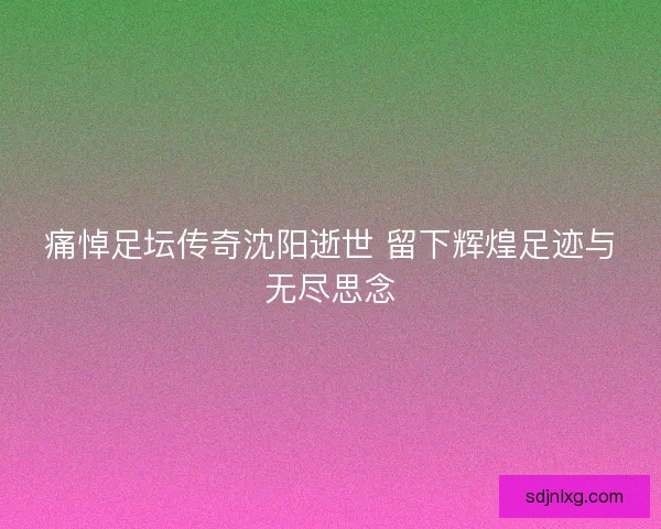 痛悼足坛传奇沈阳逝世 留下辉煌足迹与无尽思念 痛悼足坛传奇沈阳逝世 留下辉煌足迹与无尽思念